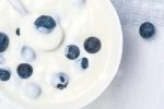 Birch & Meadow 1 Gallon of Yogurt Powder, Nutritious, From Non-fat Dry Milk - Image 4